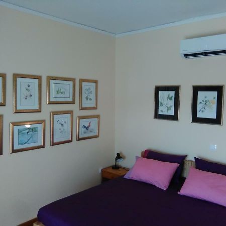 Mia'S Atelier, Balcony To Acropolis Διαμέρισμα Αθήνα Εξωτερικό φωτογραφία